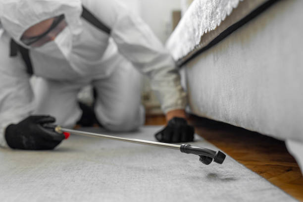 Professional Bed Bug Control technician working in Washington County County, VA